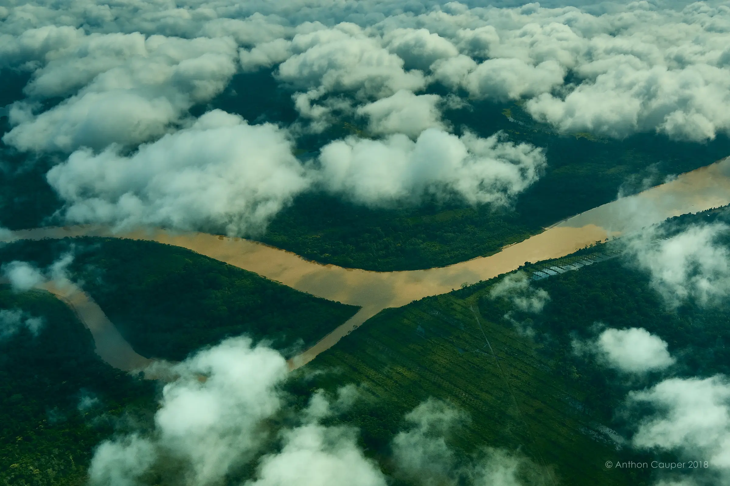 From the Amazon frame 2